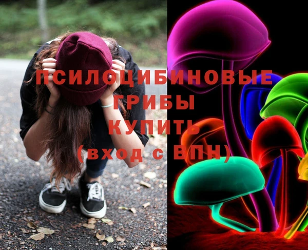 apvp Аркадак