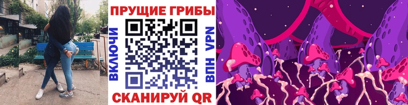 Галлюциногенные грибы MAGIC MUSHROOMS  blacksprut маркетплейс  нарко площадка какой сайт  Городовиковск 